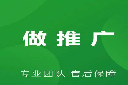 SEM推广实战：案例分析及效果评估